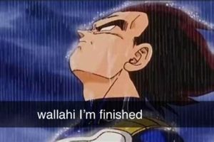 Vegeta Wallahi: The "I'm Finished" Meme Explained Best Final Touch: Elevate Your Projects with Professional Finishing Vegeta Wallahi: The "I'm Finished" Meme Explained | Best Final Touch: Elevate Your Projects with Professional Finishing