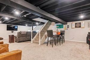 Transform Your Basement: Black Ceilings Done Right Best Final Touch: Elevate Your Projects with Professional Finishing Transform Your Basement: Black Ceilings Done Right | Best Final Touch: Elevate Your Projects with Professional Finishing