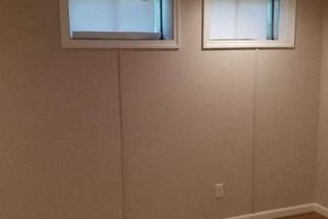 Basement Dreams: Financing Your Basement Finishing Project Best Final Touch: Elevate Your Projects with Professional Finishing Basement Dreams: Financing Your Basement Finishing Project | Best Final Touch: Elevate Your Projects with Professional Finishing