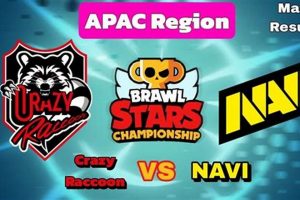 Crazy Raccoon's APAC Finish: Crushing it in ___ Place! Best Final Touch: Elevate Your Projects with Professional Finishing Crazy Raccoon's APAC Finish: Crushing it in ___ Place! | Best Final Touch: Elevate Your Projects with Professional Finishing