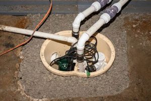 Sump Pump Basement Finishing: Dry, Usable Space! Best Final Touch: Elevate Your Projects with Professional Finishing Sump Pump Basement Finishing: Dry, Usable Space! | Best Final Touch: Elevate Your Projects with Professional Finishing