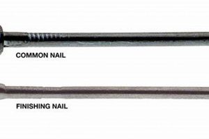 Buy Finished Nails Online: Types, Uses & More Best Final Touch: Elevate Your Projects with Professional Finishing Buy Finished Nails Online: Types, Uses & More | Best Final Touch: Elevate Your Projects with Professional Finishing