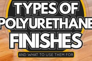 Best Polyurethane Finish Types Guide: Pros & Cons Best Final Touch: Elevate Your Projects with Professional Finishing Best Polyurethane Finish Types Guide: Pros & Cons | Best Final Touch: Elevate Your Projects with Professional Finishing