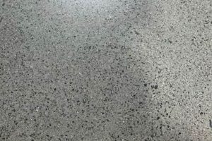 Exposed Aggregate: Concrete Salt & Pepper Finish Ideas Best Final Touch: Elevate Your Projects with Professional Finishing Exposed Aggregate: Concrete Salt & Pepper Finish Ideas | Best Final Touch: Elevate Your Projects with Professional Finishing