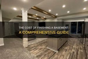 Best Coat to Finish Basement: Guide & Ideas Best Final Touch: Elevate Your Projects with Professional Finishing Best Coat to Finish Basement: Guide & Ideas | Best Final Touch: Elevate Your Projects with Professional Finishing
