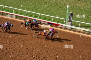 Elite Finish Line Horse: Training for the Win! Best Final Touch: Elevate Your Projects with Professional Finishing Elite Finish Line Horse: Training for the Win! | Best Final Touch: Elevate Your Projects with Professional Finishing