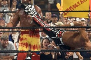 Decoding Shawn Michaels' Finishing Move: Sweet Chin Music Best Final Touch: Elevate Your Projects with Professional Finishing Decoding Shawn Michaels' Finishing Move: Sweet Chin Music | Best Final Touch: Elevate Your Projects with Professional Finishing
