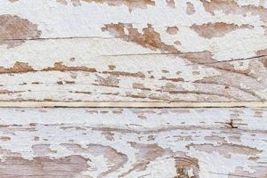 Achieve the Pickled Wood Finish Look: Easy Guide Best Final Touch: Elevate Your Projects with Professional Finishing Achieve the Pickled Wood Finish Look: Easy Guide | Best Final Touch: Elevate Your Projects with Professional Finishing