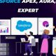 Aura Apex Finish: Salesforce Execution Demystified (When Apex Finishes) | Best Final Touch: Elevate Your Projects with Professional Finishing