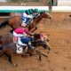 Kentucky Derby 2024 Finish Order: Results & Analysis | Best Final Touch: Elevate Your Projects with Professional Finishing