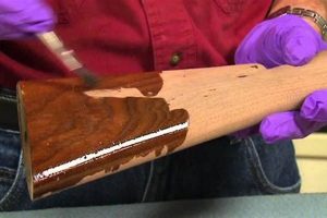 Best Gun Stock Finish Guide: Protect & Restore! Best Final Touch: Elevate Your Projects with Professional Finishing Best Gun Stock Finish Guide: Protect & Restore! | Best Final Touch: Elevate Your Projects with Professional Finishing