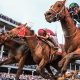 2024 Derby Finish Order: Predicting the Final Race Results | Best Final Touch: Elevate Your Projects with Professional Finishing