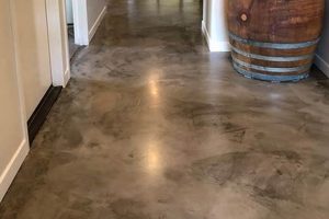 Best Finish Concrete Floor Options: Styles & Guides Best Final Touch: Elevate Your Projects with Professional Finishing Best Finish Concrete Floor Options: Styles & Guides | Best Final Touch: Elevate Your Projects with Professional Finishing