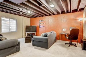 Top Finished Basement Ceiling Ideas & Beyond! Best Final Touch: Elevate Your Projects with Professional Finishing Top Finished Basement Ceiling Ideas & Beyond! | Best Final Touch: Elevate Your Projects with Professional Finishing
