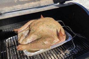 Is It Safe? Partially Cook a Turkey & Finish Later: Risks & Tips | Best Final Touch: Elevate Your Projects with Professional Finishing