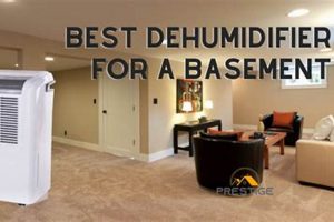 Basement Dehumidifier: Keep Your Finished Basement Dry! Best Final Touch: Elevate Your Projects with Professional Finishing Basement Dehumidifier: Keep Your Finished Basement Dry! | Best Final Touch: Elevate Your Projects with Professional Finishing
