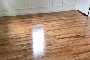 Best Hardwood Floors Finish: Protect Your Floors! Best Final Touch: Elevate Your Projects with Professional Finishing Best Hardwood Floors Finish: Protect Your Floors! | Best Final Touch: Elevate Your Projects with Professional Finishing