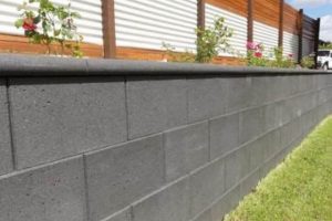 Cinder Block Finishes: Expert Guide to Best Options Best Final Touch: Elevate Your Projects with Professional Finishing Cinder Block Finishes: Expert Guide to Best Options | Best Final Touch: Elevate Your Projects with Professional Finishing