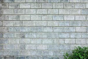 Cinder Block Wall Finishes: Design Ideas & Options For Walls Best Final Touch: Elevate Your Projects with Professional Finishing Cinder Block Wall Finishes: Design Ideas & Options For Walls | Best Final Touch: Elevate Your Projects with Professional Finishing