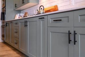 Best Paint Finish for Kitchen Cabinets? A Complete Guide Best Final Touch: Elevate Your Projects with Professional Finishing Best Paint Finish for Kitchen Cabinets? A Complete Guide | Best Final Touch: Elevate Your Projects with Professional Finishing
