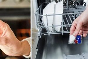 Finish Dishwasher Cleaner: How to Use It Right! - Tips Best Final Touch: Elevate Your Projects with Professional Finishing Finish Dishwasher Cleaner: How to Use It Right! - Tips | Best Final Touch: Elevate Your Projects with Professional Finishing