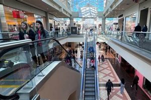 Your Mayfair Mall Finish Line: Deals & Gear! Best Final Touch: Elevate Your Projects with Professional Finishing Your Mayfair Mall Finish Line: Deals & Gear! | Best Final Touch: Elevate Your Projects with Professional Finishing