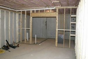 Alternatives: No Drywall Basement Finishing Guide Best Final Touch: Elevate Your Projects with Professional Finishing Alternatives: No Drywall Basement Finishing Guide | Best Final Touch: Elevate Your Projects with Professional Finishing