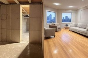 Northern Virginia Basement Finishing: Transform Your Basement Best Final Touch: Elevate Your Projects with Professional Finishing Northern Virginia Basement Finishing: Transform Your Basement | Best Final Touch: Elevate Your Projects with Professional Finishing
