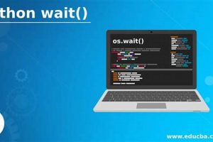 Python: Wait for Thread Start (Complete Guide) Best Final Touch: Elevate Your Projects with Professional Finishing Python: Wait for Thread Start (Complete Guide) | Best Final Touch: Elevate Your Projects with Professional Finishing