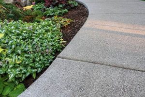 Achieve Stunning & Safe Sandwash Concrete Finish Now! Best Final Touch: Elevate Your Projects with Professional Finishing Achieve Stunning & Safe Sandwash Concrete Finish Now! | Best Final Touch: Elevate Your Projects with Professional Finishing
