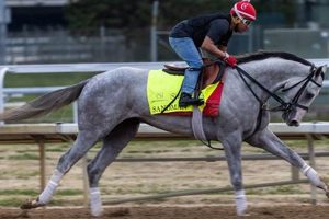 2024 Kentucky Derby Finishing Order: Results & Legacy Best Final Touch: Elevate Your Projects with Professional Finishing 2024 Kentucky Derby Finishing Order: Results & Legacy | Best Final Touch: Elevate Your Projects with Professional Finishing