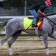 2024 Kentucky Derby Finishing Order: Results & Legacy | Best Final Touch: Elevate Your Projects with Professional Finishing