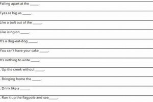Senior Finishing Lines: Quotes & Ideas for Your Yearbook Best Final Touch: Elevate Your Projects with Professional Finishing Senior Finishing Lines: Quotes & Ideas for Your Yearbook | Best Final Touch: Elevate Your Projects with Professional Finishing