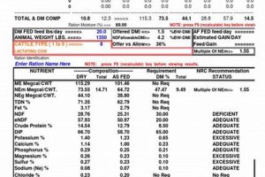 Best Beef Finishing Ration Calculator [Free] Online | Best Final Touch: Elevate Your Projects with Professional Finishing