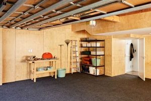 DIY Finished Plywood Garage Walls: Guide & Ideas Best Final Touch: Elevate Your Projects with Professional Finishing DIY Finished Plywood Garage Walls: Guide & Ideas | Best Final Touch: Elevate Your Projects with Professional Finishing
