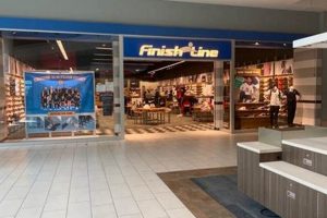 Beach Racing's End: Finish Line Daytona Beach FL Legacy! Best Final Touch: Elevate Your Projects with Professional Finishing Beach Racing's End: Finish Line Daytona Beach FL Legacy! | Best Final Touch: Elevate Your Projects with Professional Finishing