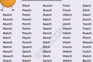 Vocabulary: Words Finishing with 'C' and Basics! Best Final Touch: Elevate Your Projects with Professional Finishing Vocabulary: Words Finishing with 'C' and Basics! | Best Final Touch: Elevate Your Projects with Professional Finishing