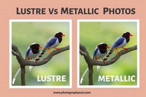 Achieve Perfection: Lustre Photo Finish Prints Guide Best Final Touch: Elevate Your Projects with Professional Finishing Achieve Perfection: Lustre Photo Finish Prints Guide | Best Final Touch: Elevate Your Projects with Professional Finishing
