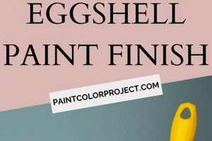 Eggshell Finish Painting: Tips & Techniques for Perfect Walls Best Final Touch: Elevate Your Projects with Professional Finishing Eggshell Finish Painting: Tips & Techniques for Perfect Walls | Best Final Touch: Elevate Your Projects with Professional Finishing