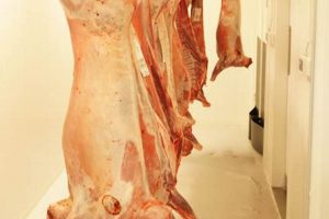 Beef Yield: Hanging Weight to Finished Weight Guide Best Final Touch: Elevate Your Projects with Professional Finishing Beef Yield: Hanging Weight to Finished Weight Guide | Best Final Touch: Elevate Your Projects with Professional Finishing