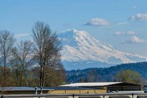 Find Finish Line Auburn WA: Shoes, Hours & More! Best Final Touch: Elevate Your Projects with Professional Finishing Find Finish Line Auburn WA: Shoes, Hours & More! | Best Final Touch: Elevate Your Projects with Professional Finishing