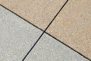Get Durable Style: Sandwash Finish Concrete Designs Best Final Touch: Elevate Your Projects with Professional Finishing Get Durable Style: Sandwash Finish Concrete Designs | Best Final Touch: Elevate Your Projects with Professional Finishing