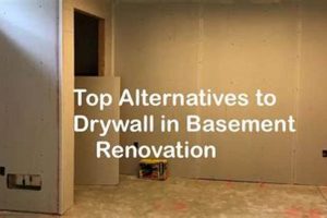 Drywall Alternative: Basement Finishing Options Today Best Final Touch: Elevate Your Projects with Professional Finishing Drywall Alternative: Basement Finishing Options Today | Best Final Touch: Elevate Your Projects with Professional Finishing