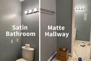 Achieve a Flawless Satin Finish: Tips & Techniques Best Final Touch: Elevate Your Projects with Professional Finishing Achieve a Flawless Satin Finish: Tips & Techniques | Best Final Touch: Elevate Your Projects with Professional Finishing