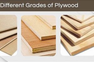 Understanding Plywood Finish Grades: Quality Guide Best Final Touch: Elevate Your Projects with Professional Finishing Understanding Plywood Finish Grades: Quality Guide | Best Final Touch: Elevate Your Projects with Professional Finishing