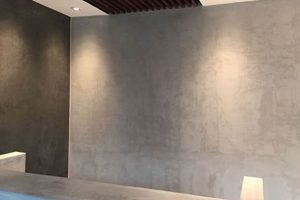 Why Choose Microcement Wall Finish? Your Dream Walls! Best Final Touch: Elevate Your Projects with Professional Finishing Why Choose Microcement Wall Finish? Your Dream Walls! | Best Final Touch: Elevate Your Projects with Professional Finishing