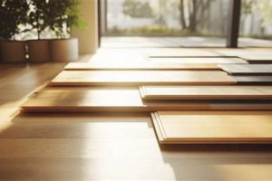 Best Eco Friendly Wood Floor Finish: Safe & Green Floors Best Final Touch: Elevate Your Projects with Professional Finishing Best Eco Friendly Wood Floor Finish: Safe & Green Floors | Best Final Touch: Elevate Your Projects with Professional Finishing