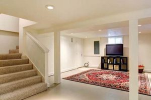 Maximize Your Space: Finished Crawl Basement Ideas & More Best Final Touch: Elevate Your Projects with Professional Finishing Maximize Your Space: Finished Crawl Basement Ideas & More | Best Final Touch: Elevate Your Projects with Professional Finishing