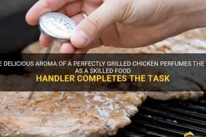 Perfect Grilled Chicken: Tips for Food Handlers! Best Final Touch: Elevate Your Projects with Professional Finishing Perfect Grilled Chicken: Tips for Food Handlers! | Best Final Touch: Elevate Your Projects with Professional Finishing