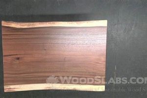 Rustic & Refined: Finished Wood Slabs For Your Home! Best Final Touch: Elevate Your Projects with Professional Finishing Rustic & Refined: Finished Wood Slabs For Your Home! | Best Final Touch: Elevate Your Projects with Professional Finishing
